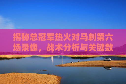 揭秘总冠军热火对马刺第六场录像，战术分析与关键数据-总冠军热火对马刺第七场