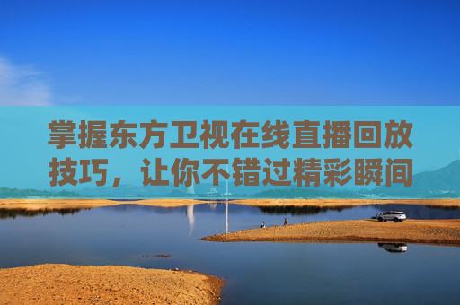 掌握东方卫视在线直播回放技巧，让你不错过精彩瞬间-东方卫视官网直播回放