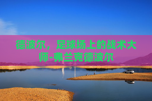 德波尔，足球场上的战术大师-弗兰克德波尔