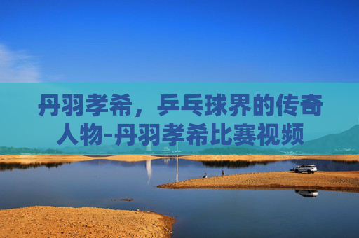丹羽孝希，乒乓球界的传奇人物-丹羽孝希比赛视频