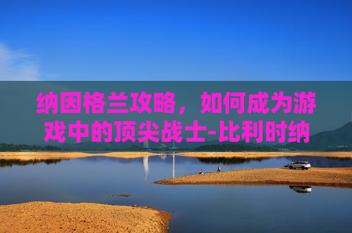 纳因格兰攻略，如何成为游戏中的顶尖战士-比利时纳因格兰