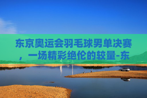东京奥运会羽毛球男单决赛，一场精彩绝伦的较量-东京奥运会羽毛球男单决赛回放