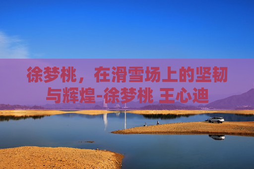 徐梦桃，在滑雪场上的坚韧与辉煌-徐梦桃 王心迪