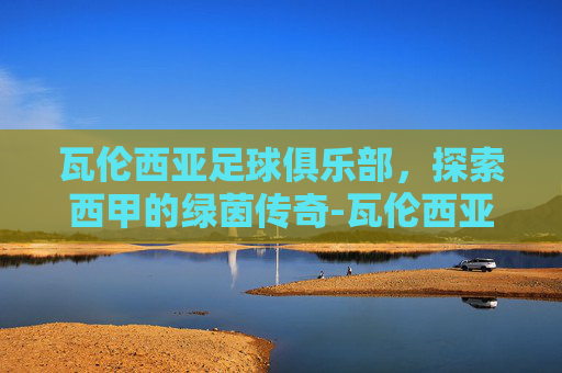 瓦伦西亚足球俱乐部，探索西甲的绿茵传奇-瓦伦西亚足球俱乐部阿根廷球员