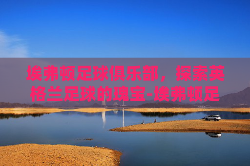 埃弗顿足球俱乐部，探索英格兰足球的瑰宝-埃弗顿足球俱乐部阵容最新雷速