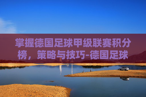 掌握德国足球甲级联赛积分榜，策略与技巧-德国足球甲级联赛积分榜最新