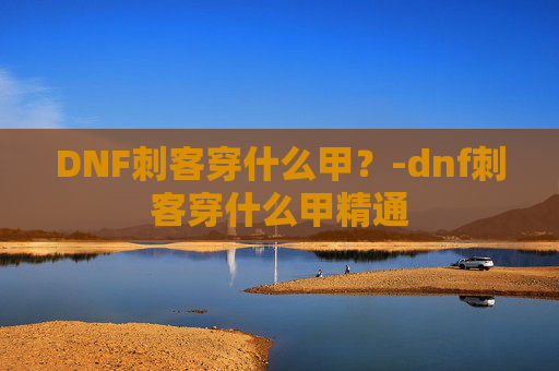 DNF刺客穿什么甲？-dnf刺客穿什么甲精通