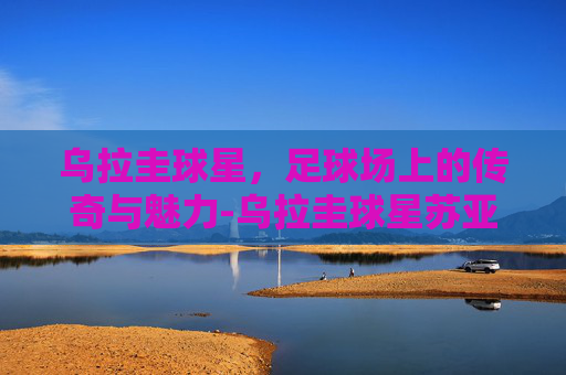 乌拉圭球星，足球场上的传奇与魅力-乌拉圭球星苏亚雷斯