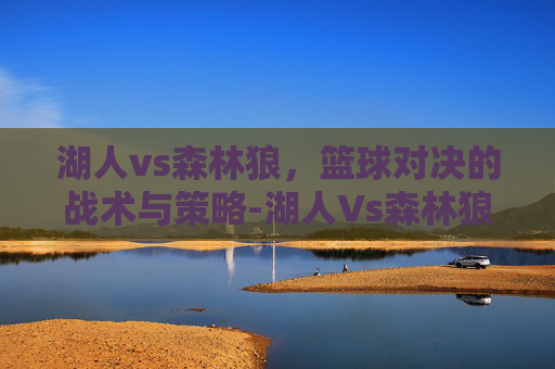 湖人vs森林狼，篮球对决的战术与策略-湖人Vs森林狼今日回放