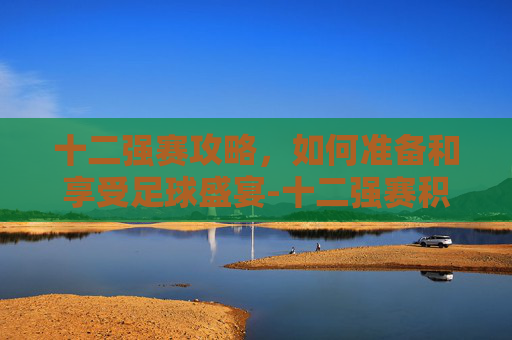 十二强赛攻略，如何准备和享受足球盛宴-十二强赛积分榜