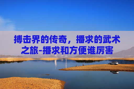 搏击界的传奇，播求的武术之旅-播求和方便谁厉害