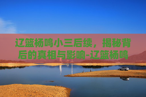辽篮杨鸣小三后续，揭秘背后的真相与影响-辽篮杨鸣前妻