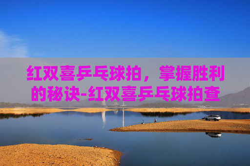 红双喜乒乓球拍，掌握胜利的秘诀-红双喜乒乓球拍查询真伪网站