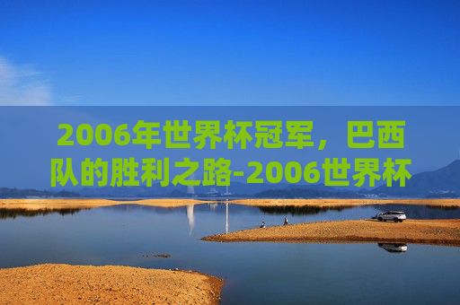 2006年世界杯冠军，巴西队的胜利之路-2006世界杯冠军是谁啊视频