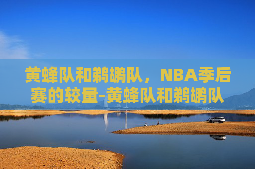 黄蜂队和鹈鹕队，NBA季后赛的较量-黄蜂队和鹈鹕队的赛程