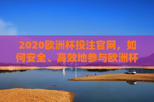 2020欧洲杯投注官网，如何安全、高效地参与欧洲杯投注-2020欧洲杯投注官网查询