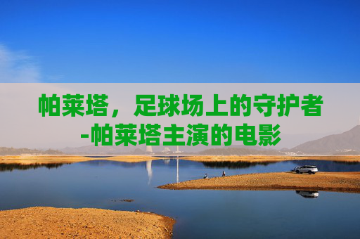 帕莱塔，足球场上的守护者-帕莱塔主演的电影
