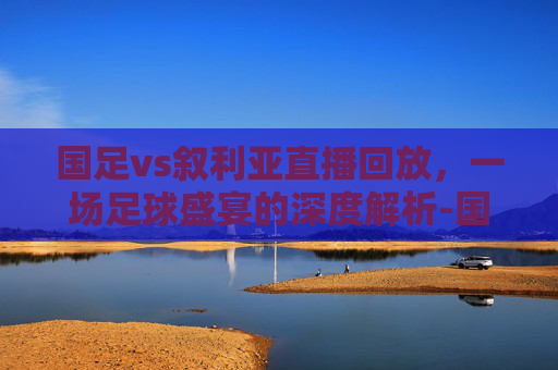 国足vs叙利亚直播回放，一场足球盛宴的深度解析-国足vs叙利亚直播回放免费观看