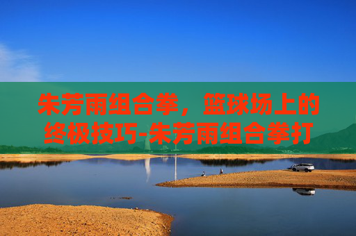 朱芳雨组合拳，篮球场上的终极技巧-朱芳雨组合拳打的是斯普利特吗