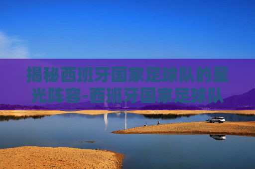 揭秘西班牙国家足球队的星光阵容-西班牙国家足球队名单最新