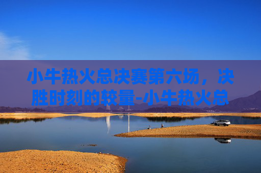 小牛热火总决赛第六场，决胜时刻的较量-小牛热火总决赛6