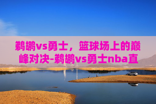 鹈鹕vs勇士，篮球场上的巅峰对决-鹈鹕vs勇士nba直播
