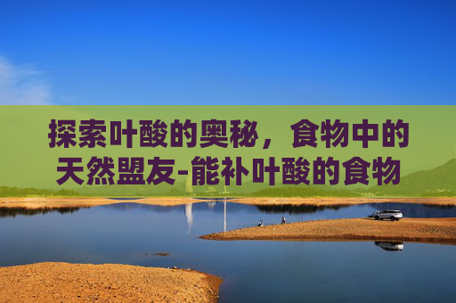 探索叶酸的奥秘，食物中的天然盟友-能补叶酸的食物有哪些