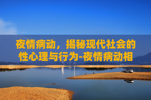 夜情病动，揭秘现代社会的性心理与行为-夜情病动相似动漫