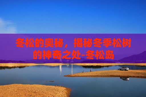冬松的奥秘，揭秘冬季松树的神奇之处-冬松岛