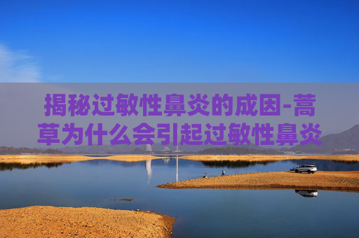 揭秘过敏性鼻炎的成因-蒿草为什么会引起过敏性鼻炎原因