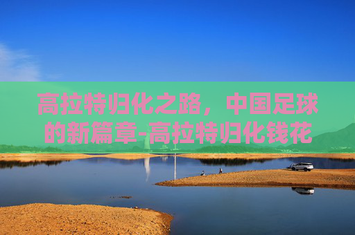 高拉特归化之路，中国足球的新篇章-高拉特归化钱花在哪