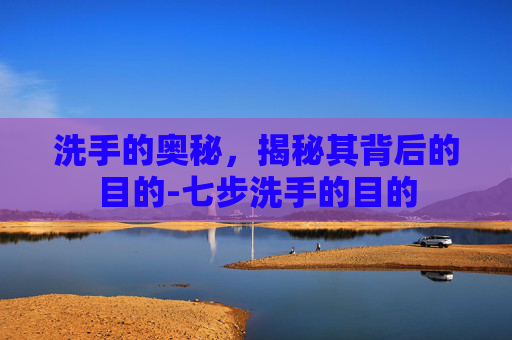 洗手的奥秘，揭秘其背后的目的-七步洗手的目的