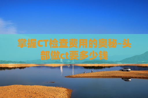 掌握CT检查费用的奥秘-头部做ct要多少钱