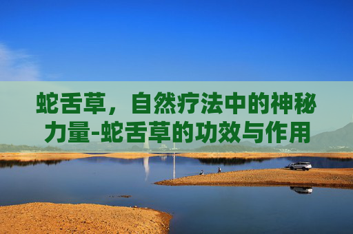 蛇舌草，自然疗法中的神秘力量-蛇舌草的功效与作用