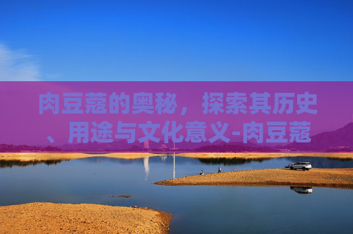 肉豆蔻的奥秘，探索其历史、用途与文化意义-肉豆蔻酸