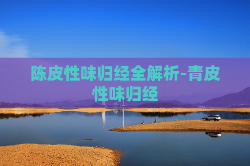 陈皮性味归经全解析-青皮性味归经