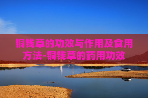 铜钱草的功效与作用及食用方法-铜钱草的药用功效