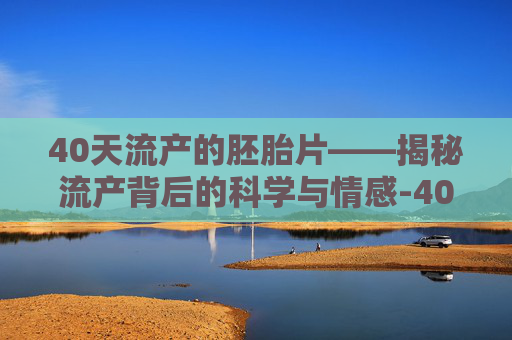 40天流产的胚胎片——揭秘流产背后的科学与情感-40天流产的胚胎片是什么