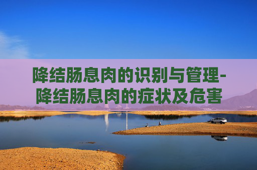 降结肠息肉的识别与管理-降结肠息肉的症状及危害