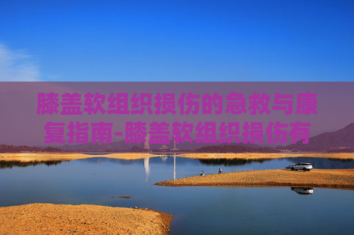膝盖软组织损伤的急救与康复指南-膝盖软组织损伤有什么症状