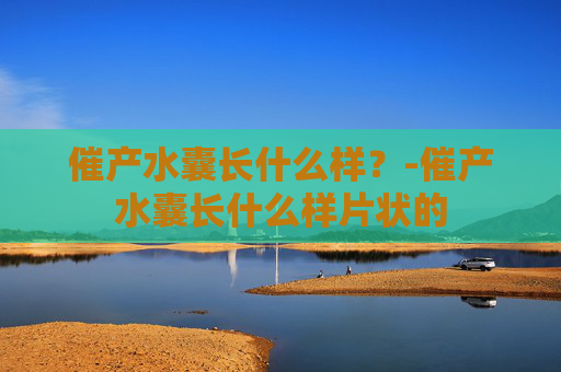 催产水囊长什么样？-催产水囊长什么样片状的