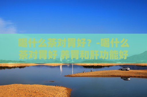 喝什么茶对胃好？-喝什么茶对胃好 养胃和肝功能好的