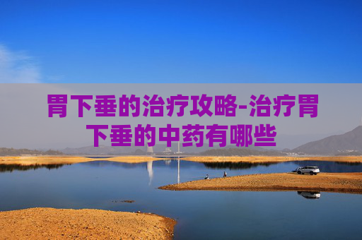 胃下垂的治疗攻略-治疗胃下垂的中药有哪些