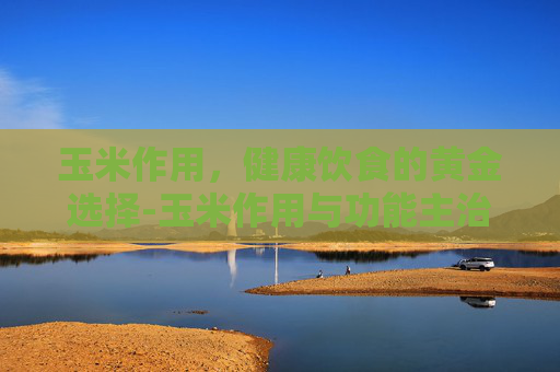 玉米作用，健康饮食的黄金选择-玉米作用与功能主治功效
