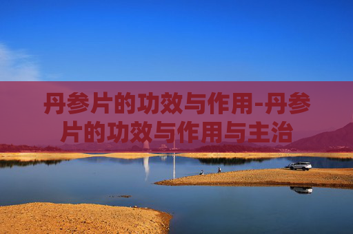 丹参片的功效与作用-丹参片的功效与作用与主治