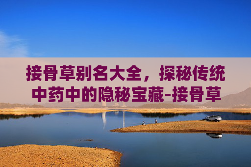 接骨草别名大全，探秘传统中药中的隐秘宝藏-接骨草别名大揭秘