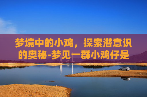 梦境中的小鸡，探索潜意识的奥秘-梦见一群小鸡仔是什么预兆