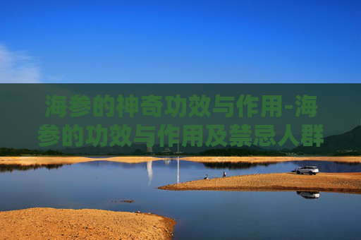 海参的神奇功效与作用-海参的功效与作用及禁忌人群