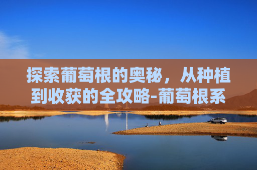 探索葡萄根的奥秘，从种植到收获的全攻略-葡萄根系发达吗?
