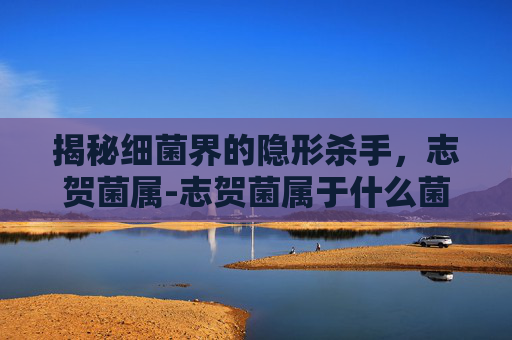 揭秘细菌界的隐形杀手，志贺菌属-志贺菌属于什么菌属